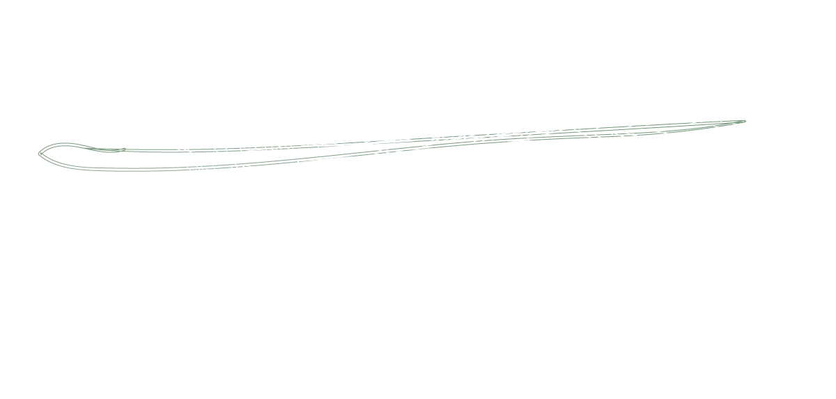 Veerkracht & Confetti